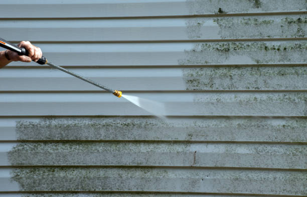 Best Mold Damage Repair  in Waynesboro, GA