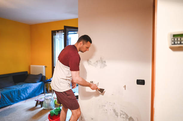 Trusted Waynesboro, GA Mold Removal Experts