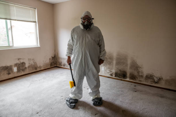 Certified Mold Removal in Waynesboro, GA